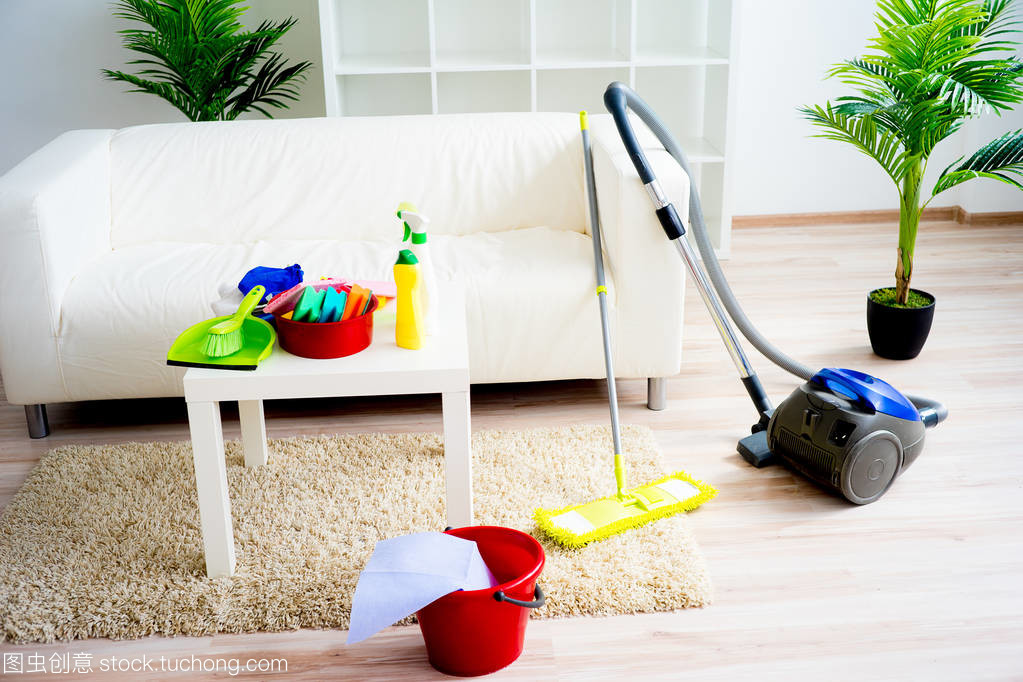 深度清洁，专业护航 打造健康舒适家居环境的专业保洁产品指南